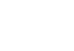 Aer Lingus