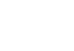 CleanFox