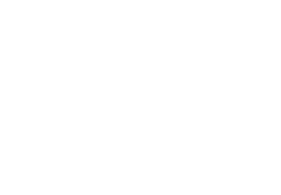 Finsa